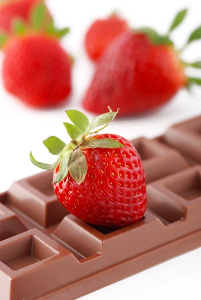 Erdbeere ruht auf Schokolade — Stockfoto