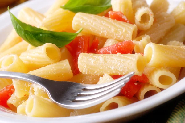 Rigatoni pasta with tomato — Stock Photo, Image
