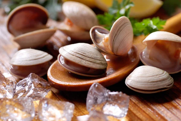 Clams on the wooden table — Stock Photo, Image