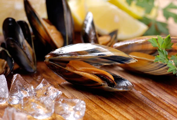 Mussels on the table — Stock Photo, Image