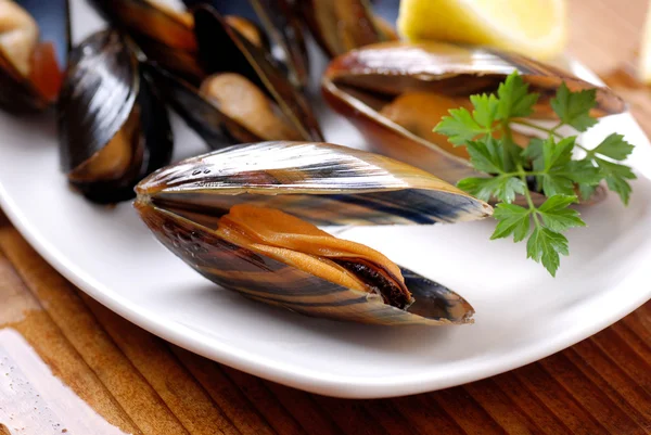 Mussels on the table — Stock Photo, Image