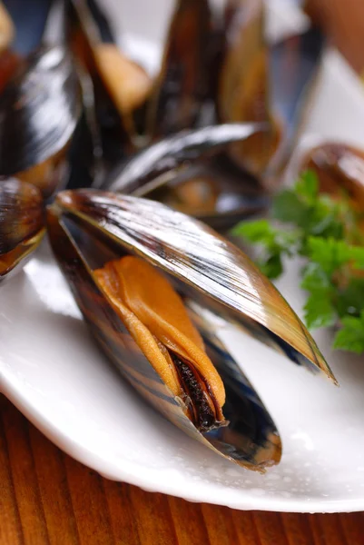 Mussels on the table — Stock Photo, Image