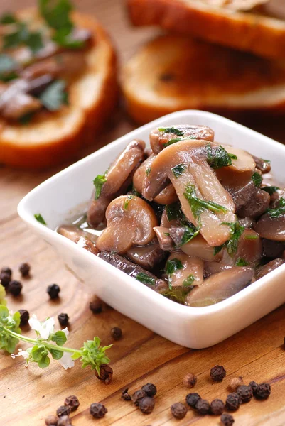 Sote mantar içinde portre fotoğrafı