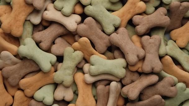 Pile Biscuits Pour Chiens Forme Gros Plan — Video