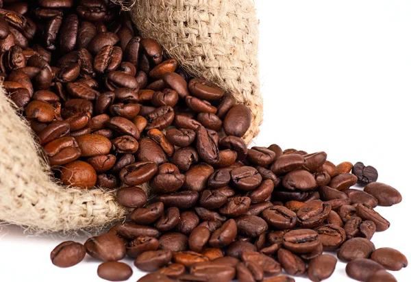 Scattered coffee grains on a white background — Stock Photo, Image