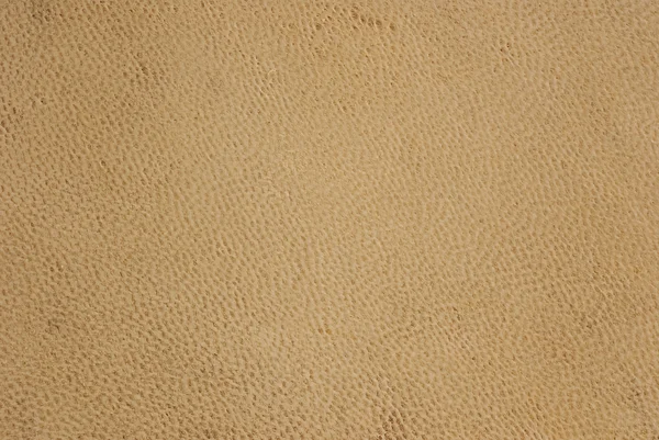 Background texture of sheepskin — Stock Photo, Image