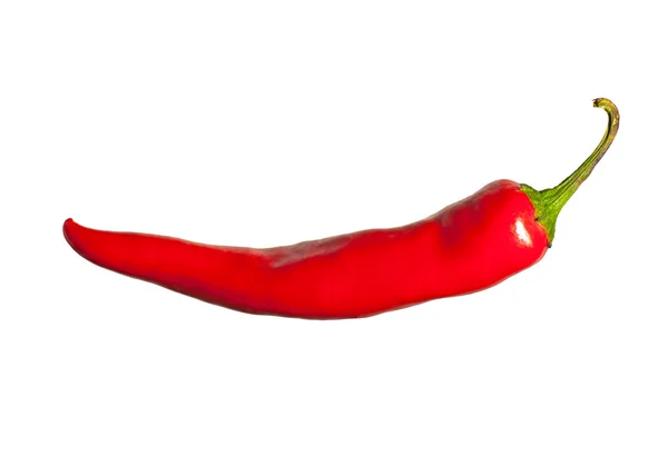 Red pepper isolated on a white background — Stock Photo, Image