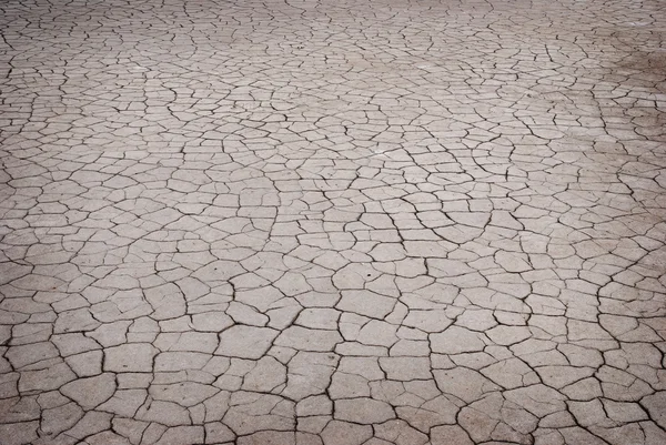 Cracked earth texture — Stock Photo, Image