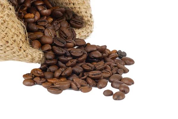 Rozptýlené kávové zrna na bílém pozadí — Stock fotografie