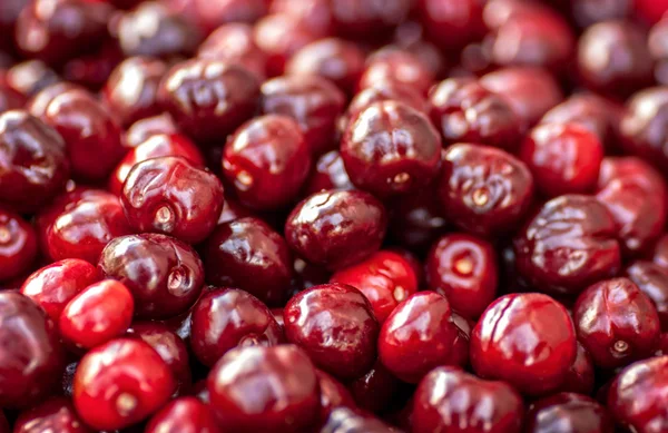 Seamless texture of cherries — Stock Photo, Image