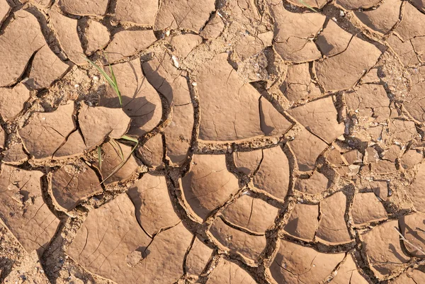 Textura da terra rachada — Fotografia de Stock