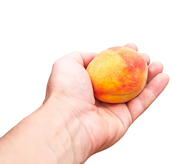 Peach in a hand on a white background — Stock Photo, Image