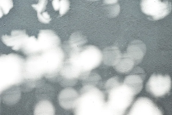 Sonneneinstrahlung an einer grauen Wand — Stockfoto
