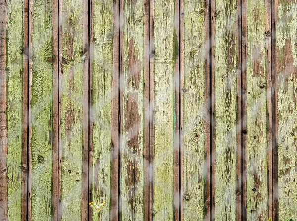 Old wooden fence photographed over the net — Stock Photo, Image