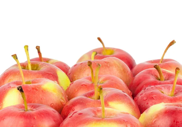 Manzanas rojas frescas. Aislado sobre fondo blanco. Primer plano —  Fotos de Stock