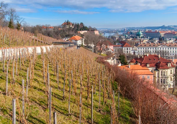 View of the historical districts of Prague — Stock Photo, Image