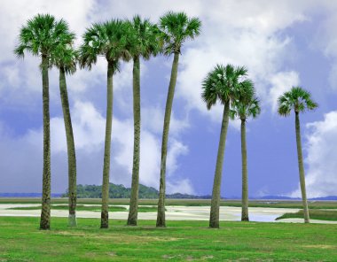 Amelia Island, Florida