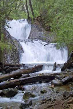 su şelale güzel yeşil