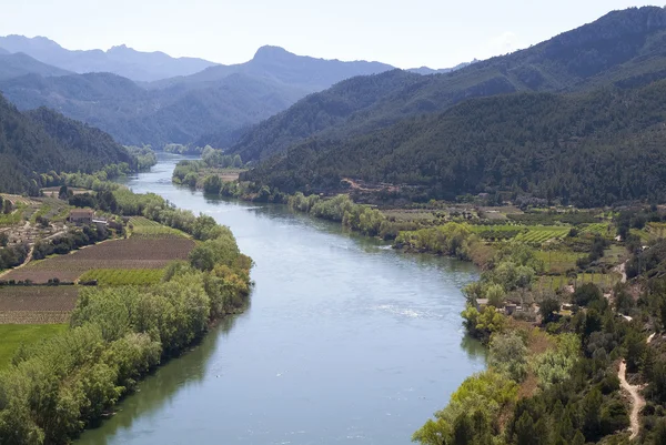 Fiume e montagne — Foto Stock