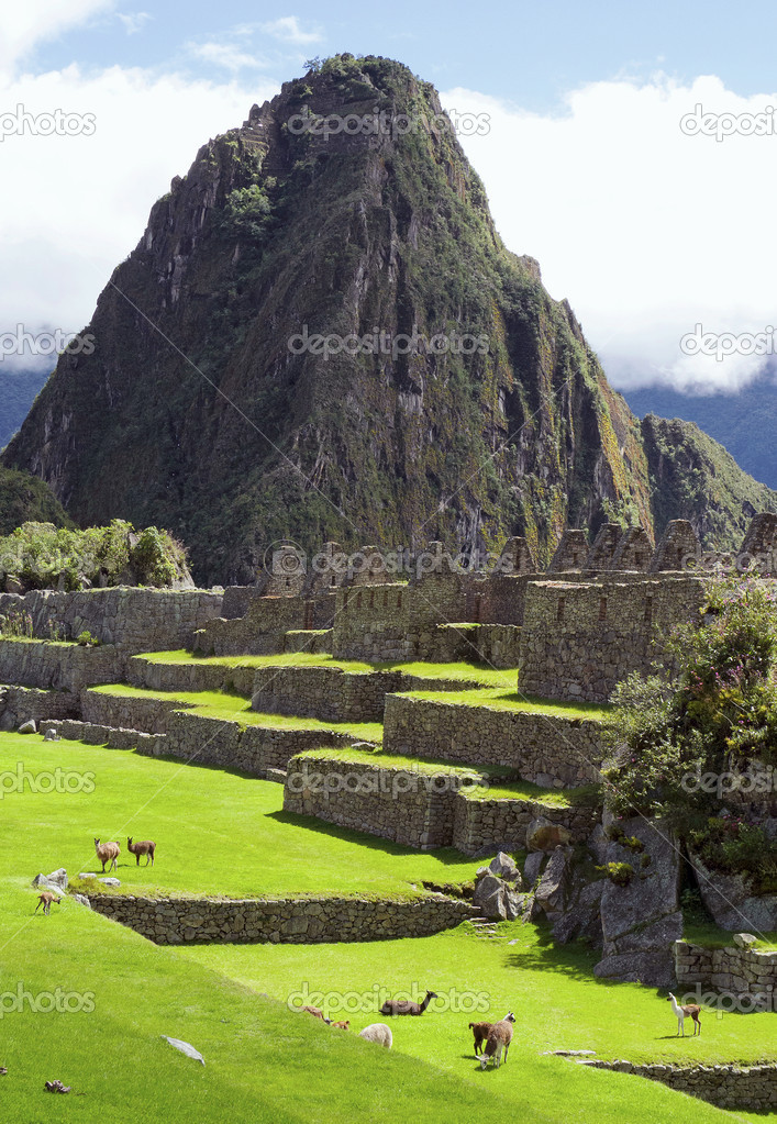 Machu Picchu (Peru, Southa America)