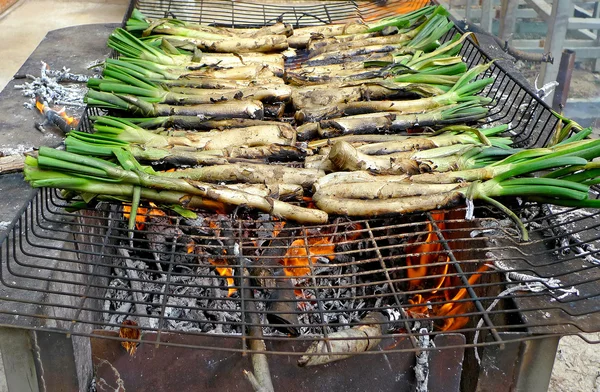 Calçots, typical catalan onions