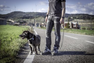 köpeği yolda yürüyen adam