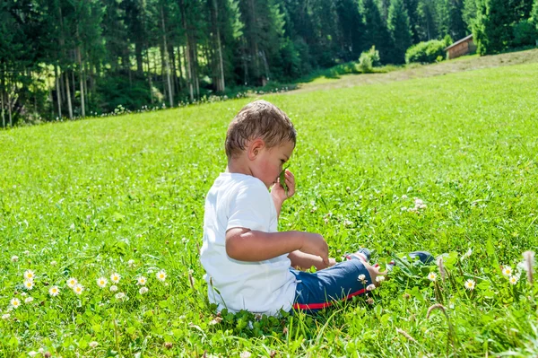 Child sat on the lawn — Stock Photo, Image