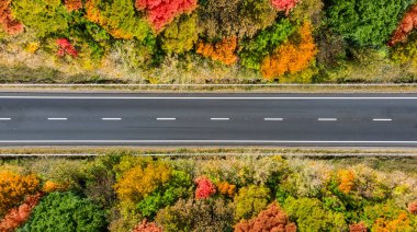 Havadan. Sonbahar ormanı boyunca asfalt yol bomboş. İHA 'dan üst görünüm.