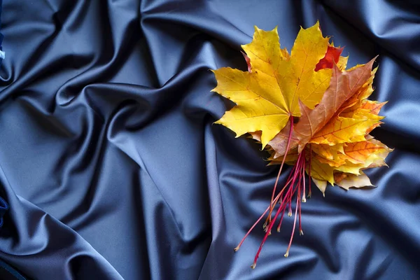 Heldere Gele Herfstbladeren Zachte Satijnen Doek — Stockfoto