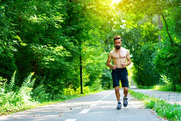 Fit man doing morning jog in the park. A man with embossed body runs by the footpath.