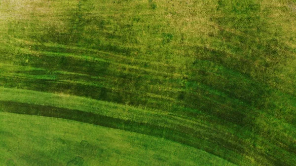 Aéreo Textura Gramado Grama Verde Vista Superior Drone — Fotografia de Stock