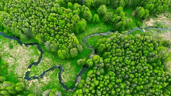 Вихревая Река Между Лесом Экологически Чистый Район Планеты Вид Воздуха — стоковое фото