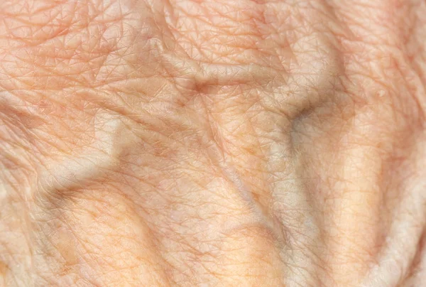 古いしわのある皮膚や高齢者の静脈の質感 マクロ背景 — ストック写真