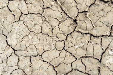 Cracked earth, dry ground texture background.