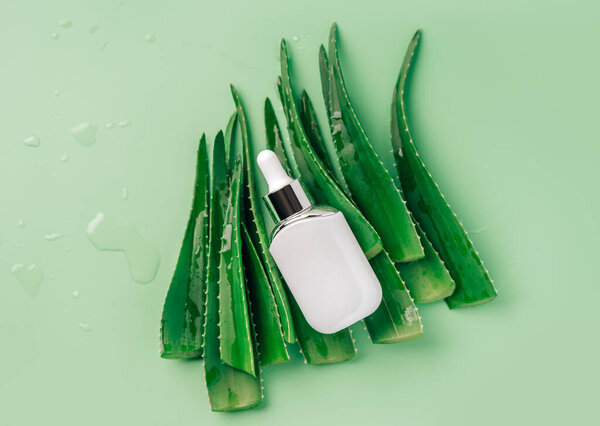 Aloe vera leaves and white mockup cosmetic jar on a light green background.