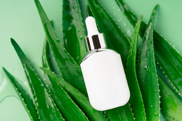 White mockup cosmetic jar on an aloe vera leaves.