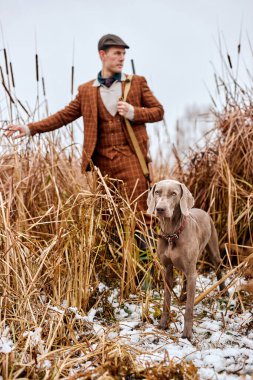 Köpekle ormanda avcı. Köpeğe odaklan. Ön koltukta oturan adam. Avcı adam.