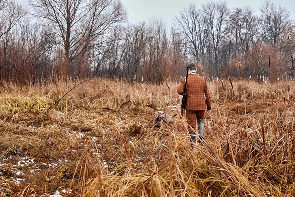 Vista trasera en irreconocible americano chico en traje caminando a través del campo, caza — Foto de Stock