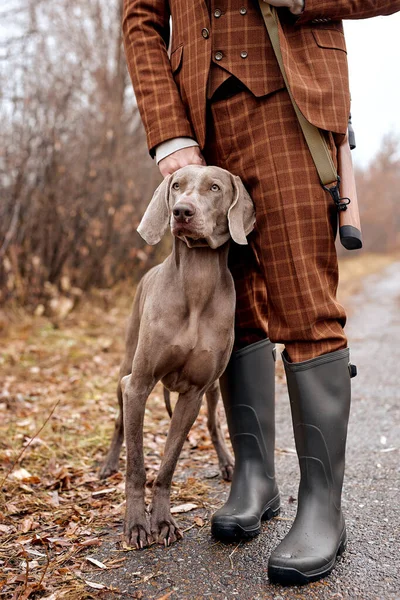 Обрізаний мисливець за людиною в костюмі готовий до полювання, тримає пістолет і ходить з собакою в лісі . — стокове фото