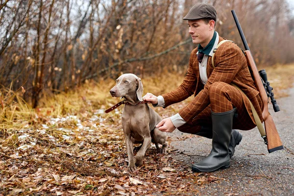 ชายที่มีสไตล์กับสายพันธุ์สุนัข weimaraner เดินในป่า การฝึกสุนัขล่าสัตว์ — ภาพถ่ายสต็อก