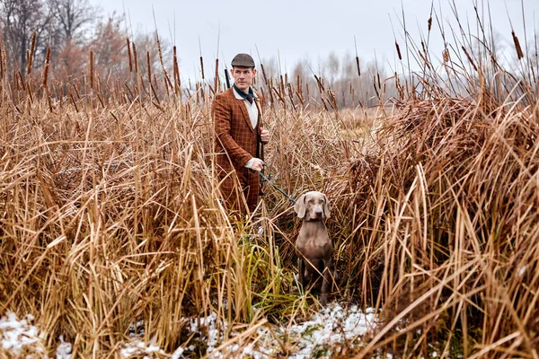 Lovec v klobouku s pistolí a výmarský pes plemeno přítel v přírodě. Úžasné podzimní ráno. — Stock fotografie