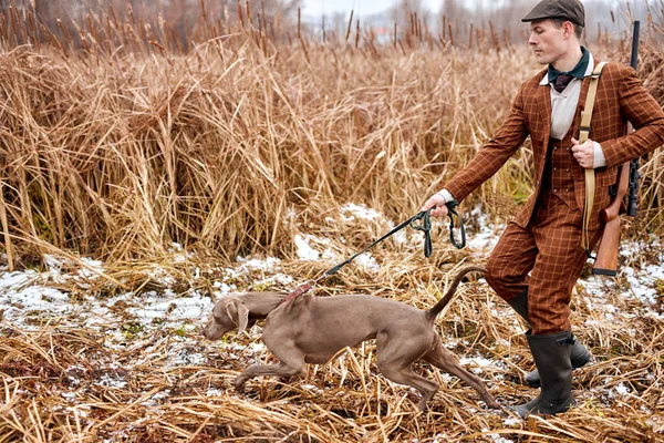 Perro gris lleva al hombre cazador a un lado, dirige. naturaleza rural, lugar rural — Foto de Stock