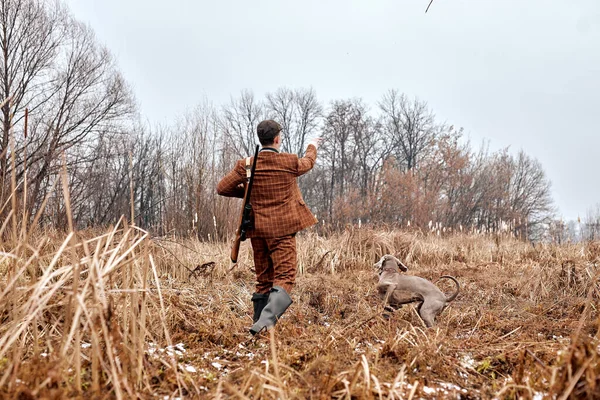 Jägarhund leder ägaren åt sidan, regisserar. på landsbygden natur, landsbygd plats. — Stockfoto