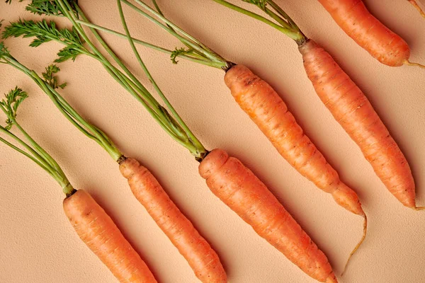 Fresh Carrots Green Leaves Isolated Pastel Orange Background Vegetable Food — Stock Photo, Image