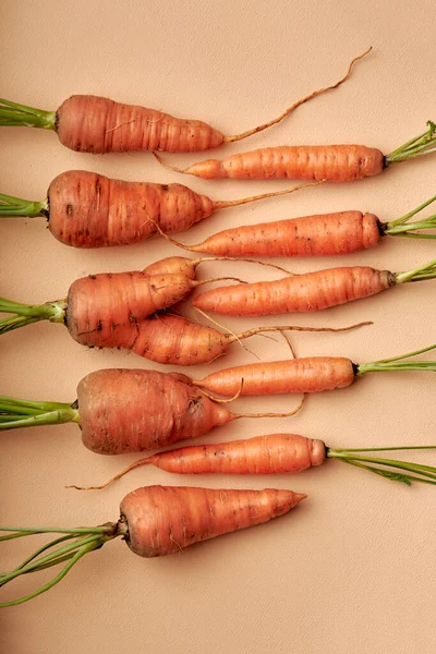 Isolated Carrot Set Fresh Carrots Green Stem Isolated Pastel Orange — Stock Photo, Image