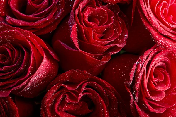 Happy Valentines Day Greeting Card Delicate Red Rose Petals Close — Fotografia de Stock