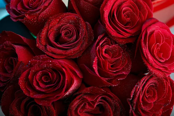 Valentines Day Greeting Card Red Rose Petals Close Droplets Water — Fotografia de Stock