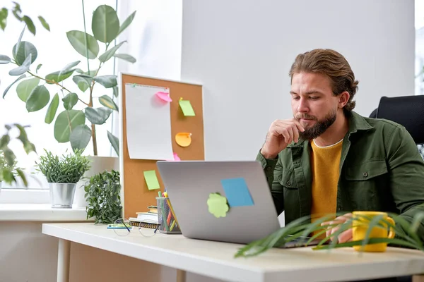 Nice Caucasian Male Entrepreneur Working Laptop In Modern Office, Handsome American Or Caucasian Guy Sitting At Desk Checking Financial Reports, Concentrated On Work, Management Concept