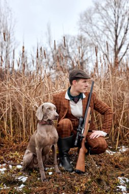 confident guy with weimaraner dog sitting in bushes and hunting down an animal, in wild nature. hunter and his dog looking for small game. caucasian male with rifle shotgun. outdoor portrait