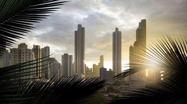 Mrakodrapy z Panamy panorama — Stock fotografie